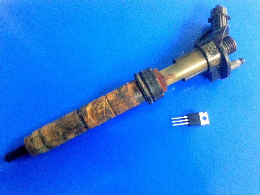 10636517_483254081817397_8245428622448945917_o