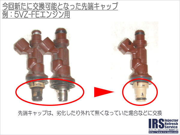 11009108_559950460814425_6547449384270676174_n