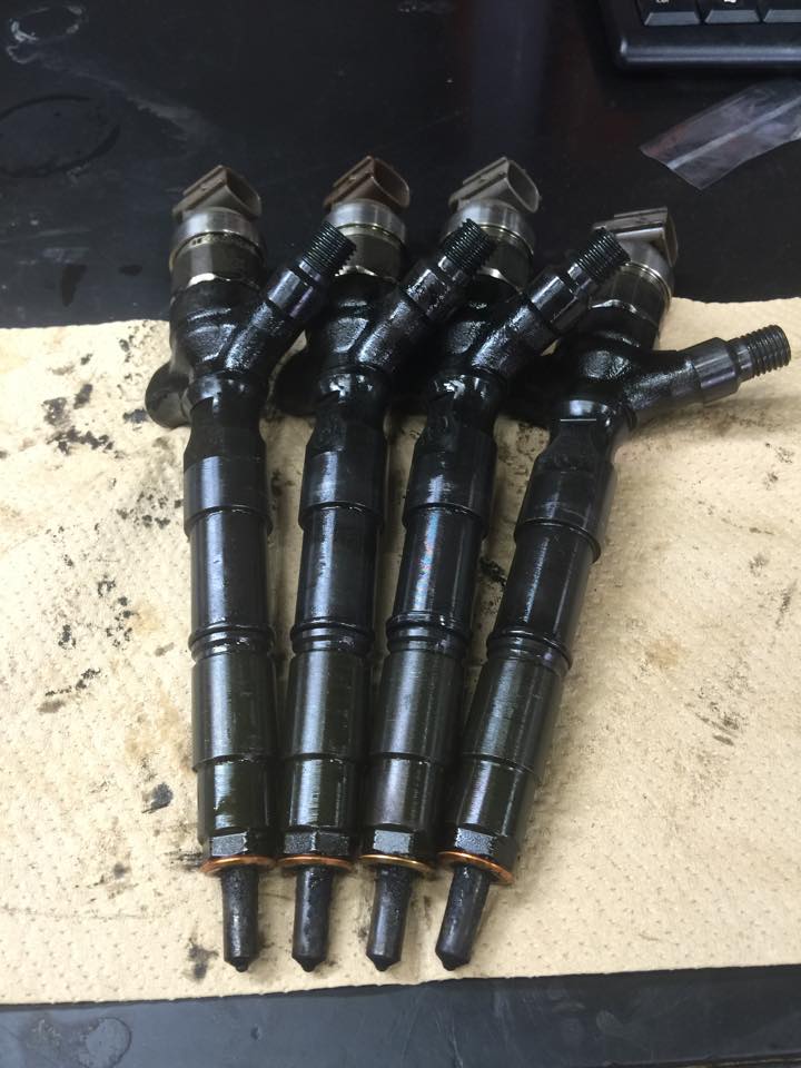 11057255_591001367709334_8284538884638089547_n