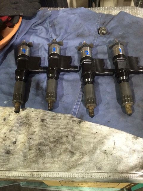 12743708_675477592595044_6372423740479076164_n