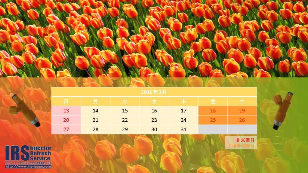 12823425_682894671853336_545371408293387633_o