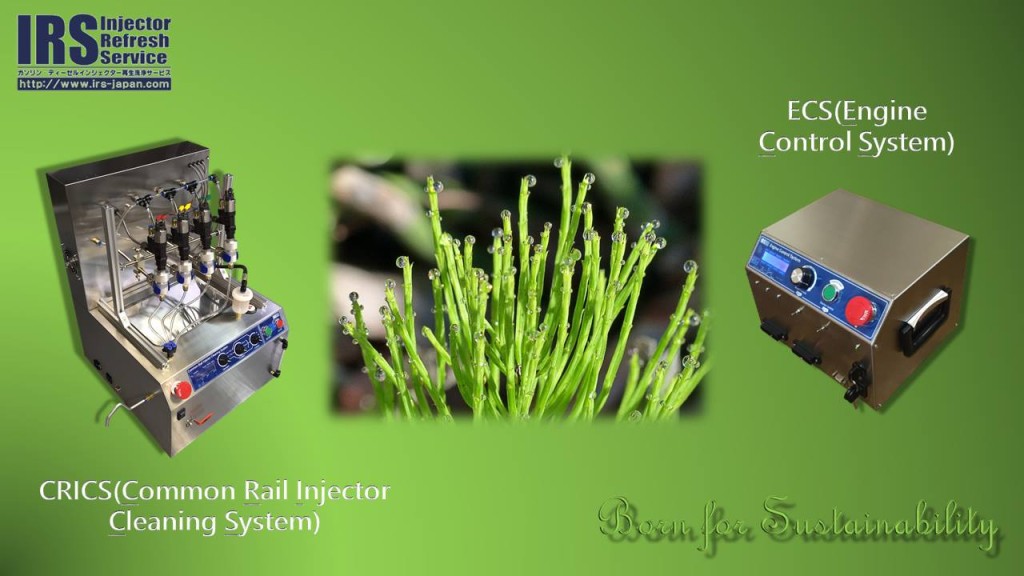 12823431_684710525005084_5676529975202848846_o