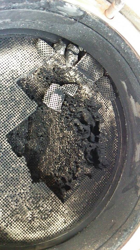 13237670_715021618640641_6453615994235443670_n