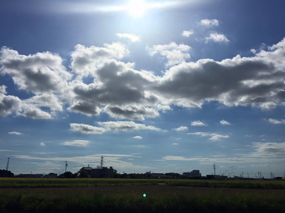 14067708_759075504235252_6807337795835575573_n