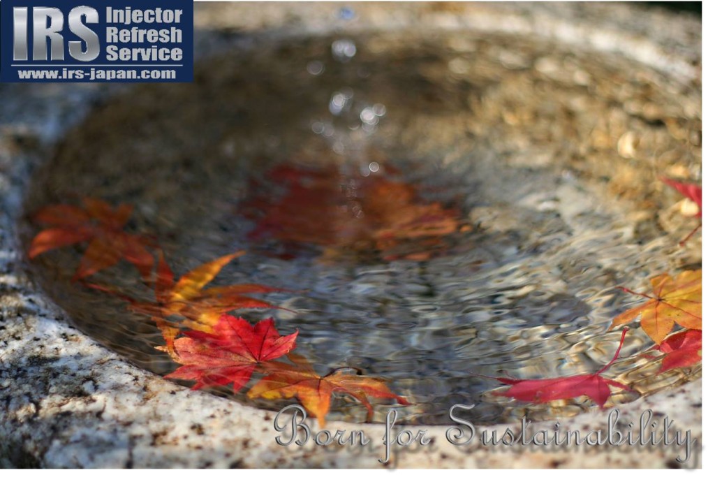 14542531_782986511844151_5149093326374109782_o