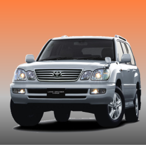 1465282_499043163571822_7863192745766573641_n