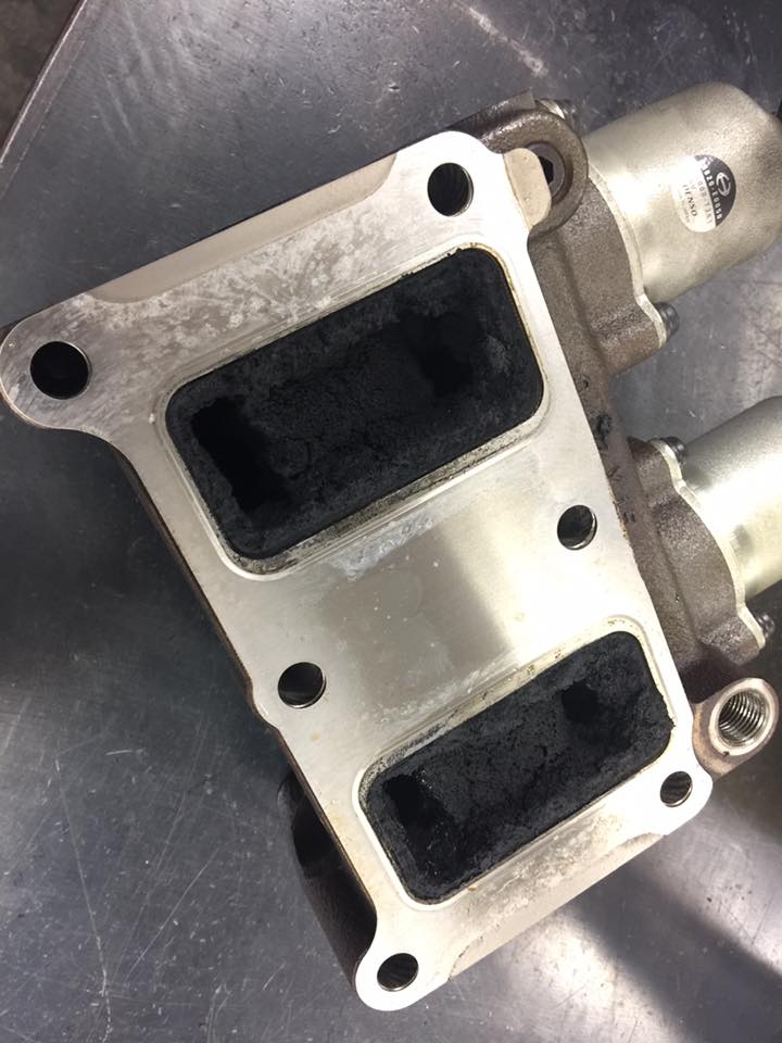 14670789_785083944967741_6269187968820905353_n