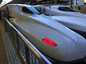 1491380_495504810592324_4218426235050922629_o