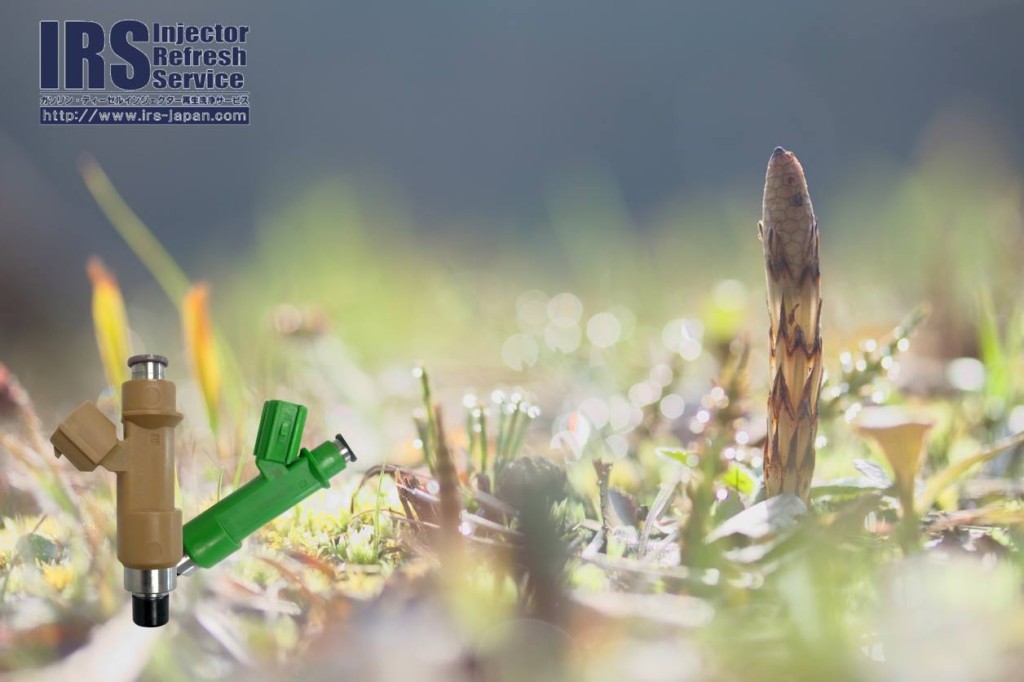 17359261_878181655657969_4106320060117641877_o