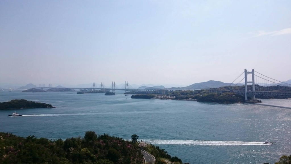 17973500_894727157336752_559039028508582120_o