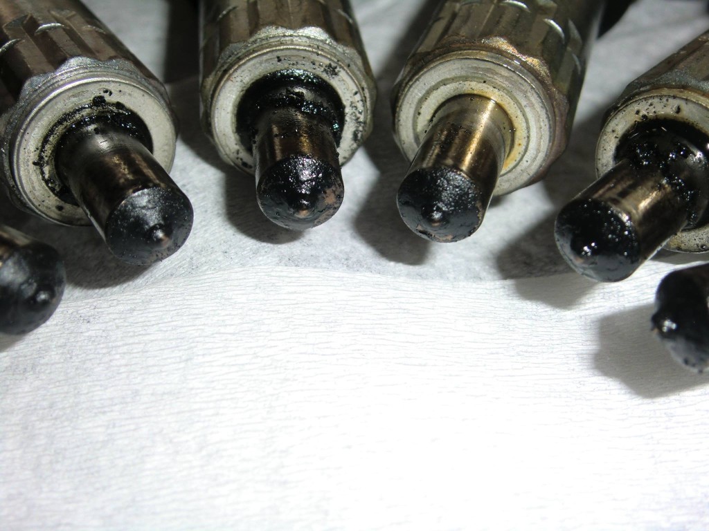 18121213_901068456702622_55125962537384286_o