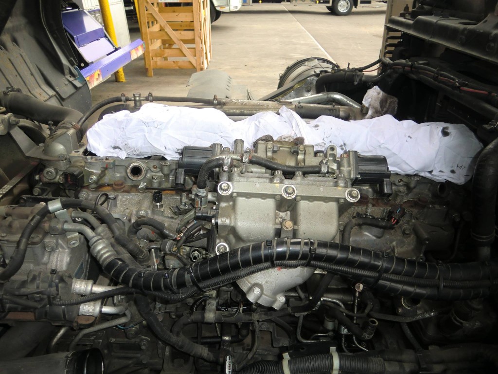 18121929_901068453369289_7229989938082180485_o