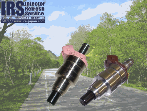 18122_561926063950198_5426408664531732954_n