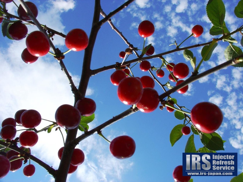 18879896_921469164662551_2572500267177269452_o