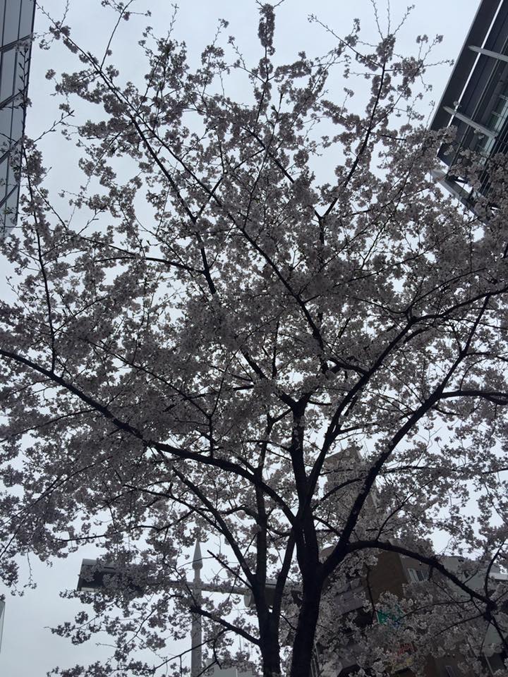 1934630_695036247305845_6400804423089254865_n