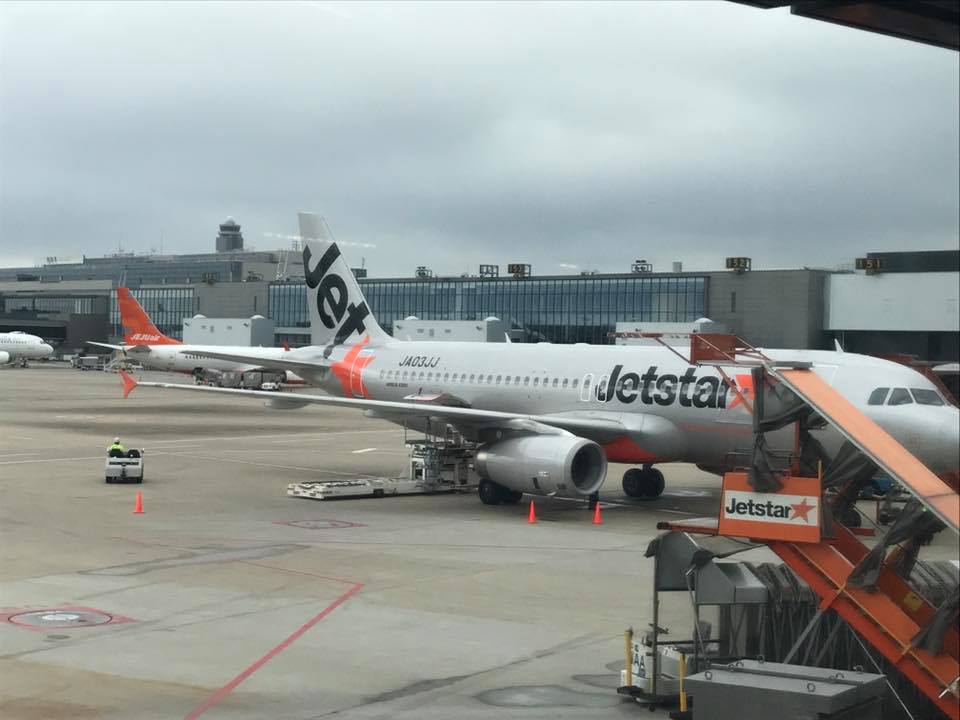 21317968_976788692463931_3318573440756007348_n