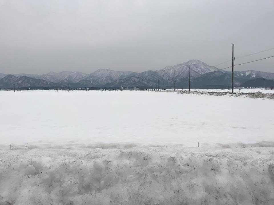 28379321_1073232326152900_616836255828851833_n