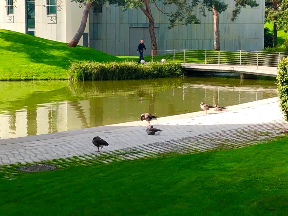 41761480_1228183477324450_6690502699961548800_n